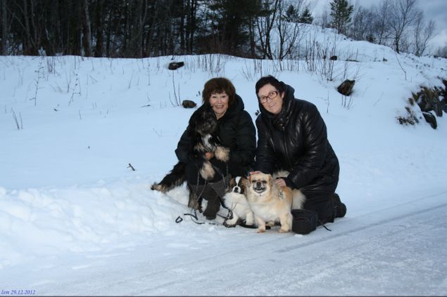 29.12.2012
Nok en romjulsdag er over. Her er min svigerinne og meg og hundene på utflukt sammen med Ingeborg som for anledningen er fotograf :-)