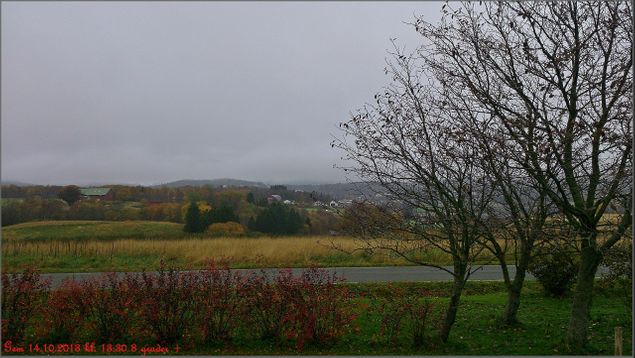 Bildet taler for seg :-)
1. vinterdag er her. Fint og grått, stemningsfullt, slik det skal være på en slik dag. Vidunderlige høst :-) Med ca 8 grader +