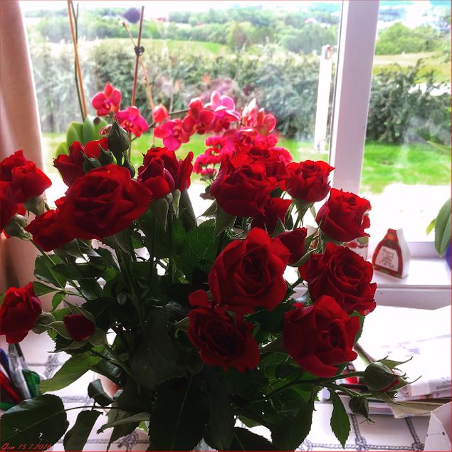 Deilig flotte roser fått av min mann i dag :-) Tusen takk!
