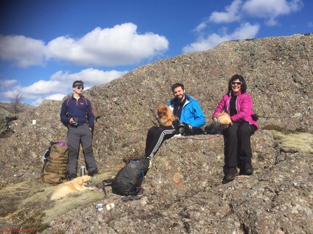 Ingeborg, Daniel, Martin og jeg tok med oss hundene og gikk oss en fin påsketur oppe i fjellet over oss. En usedvanlig herlig dag :-)