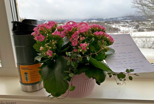 Tusen takk for vakre blomster, kake og termos Daniel og Ingeborg <3