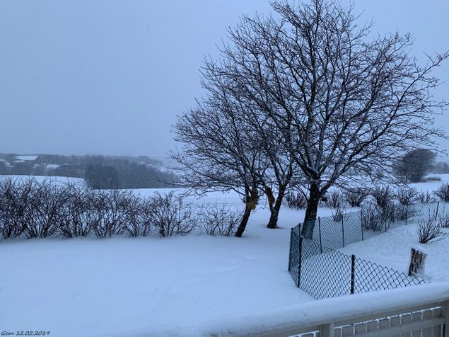 Det snør det snør, fidelibom. Bildet tatt kvart over fire i dag ettermidag :-)