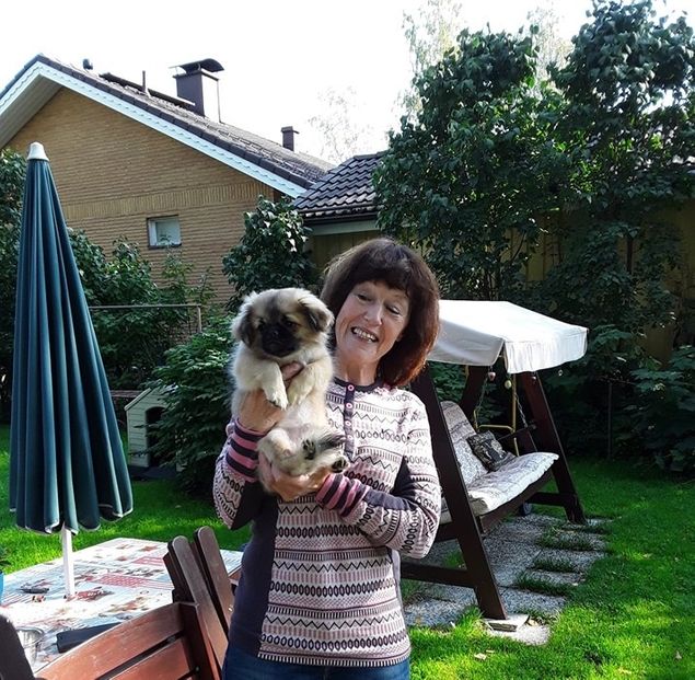 Da var dagen kommet da jeg dro til Finland for å hente lille 'Pippi'. Hennes navn er Shibazhan Ribes Aureum. Hun er en snill og veldig rolig valp. Tusen takk til oppdretter som ga meg lov til å kjøpe henne :-)