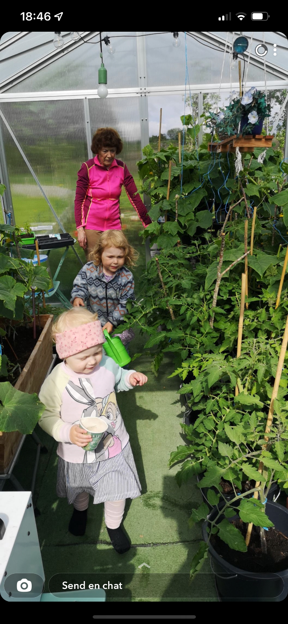 Helene og Eline vil gjerne være med å vanne agurk- og tomatplantene